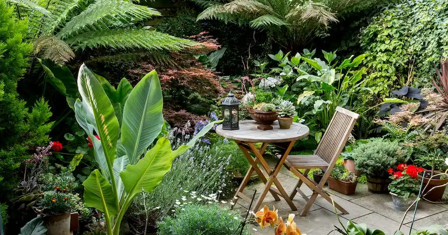 Best Designs for Small Gardens