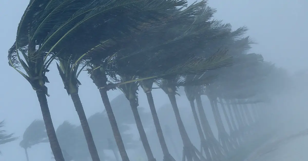 How to Hurricane-Proof Your Home